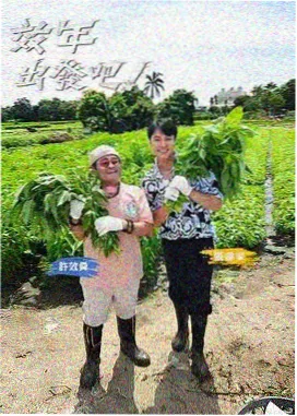 声线突围音乐竞演综艺海报